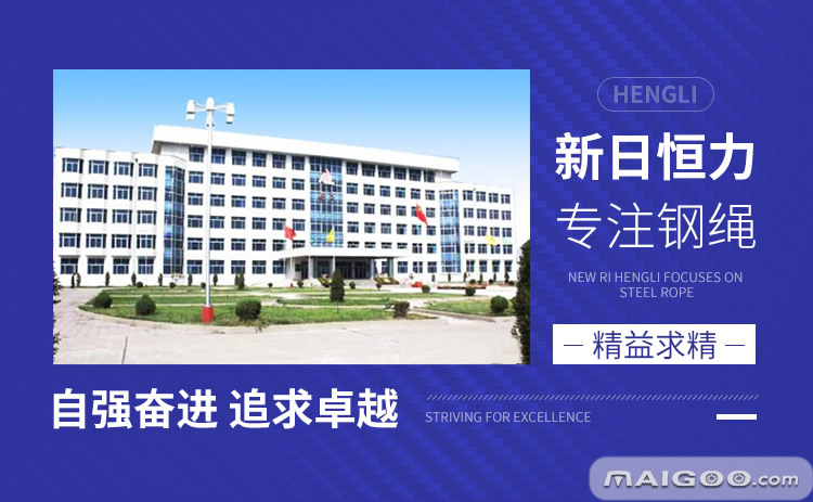 宁夏新日恒力钢丝绳股份有限公司