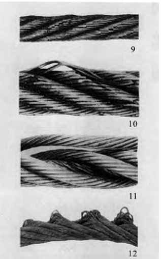 钢丝绳损坏典型（三）