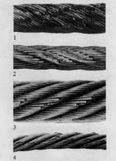 钢丝绳损坏的典型（一）