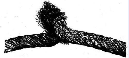 钢丝绳的损坏因素（一）